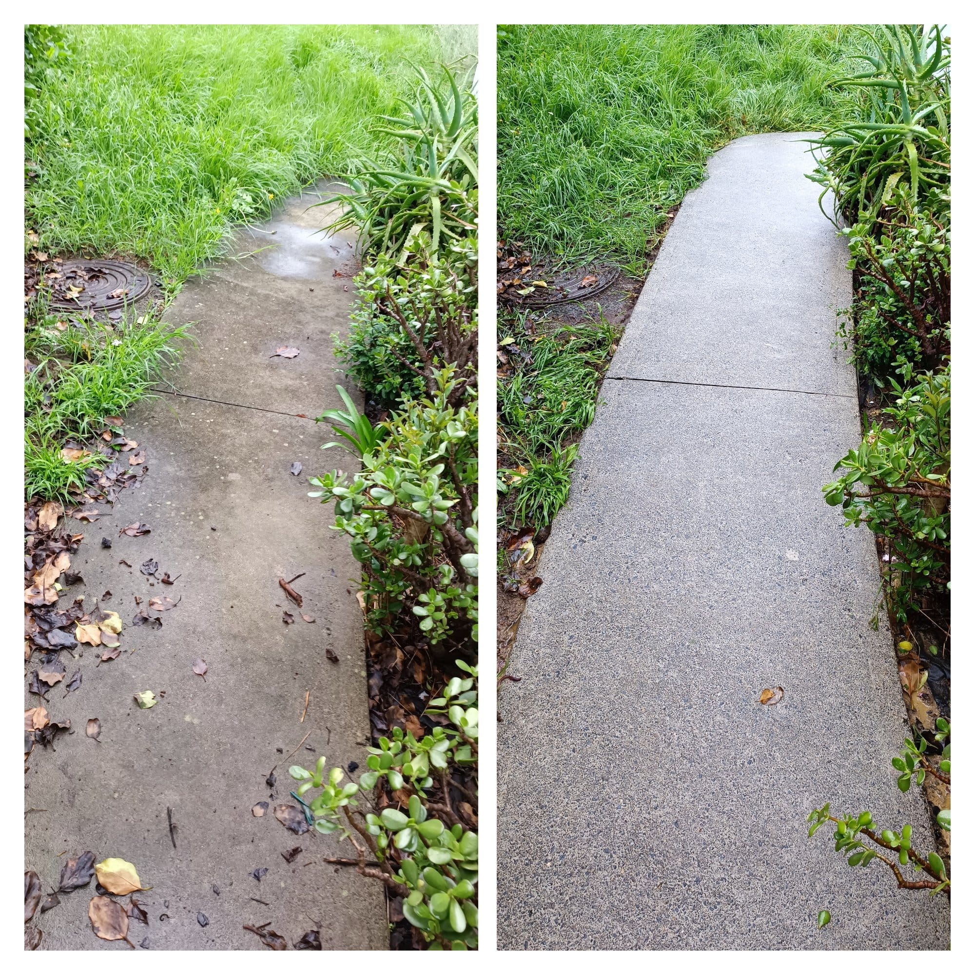 Driveway Cleaning