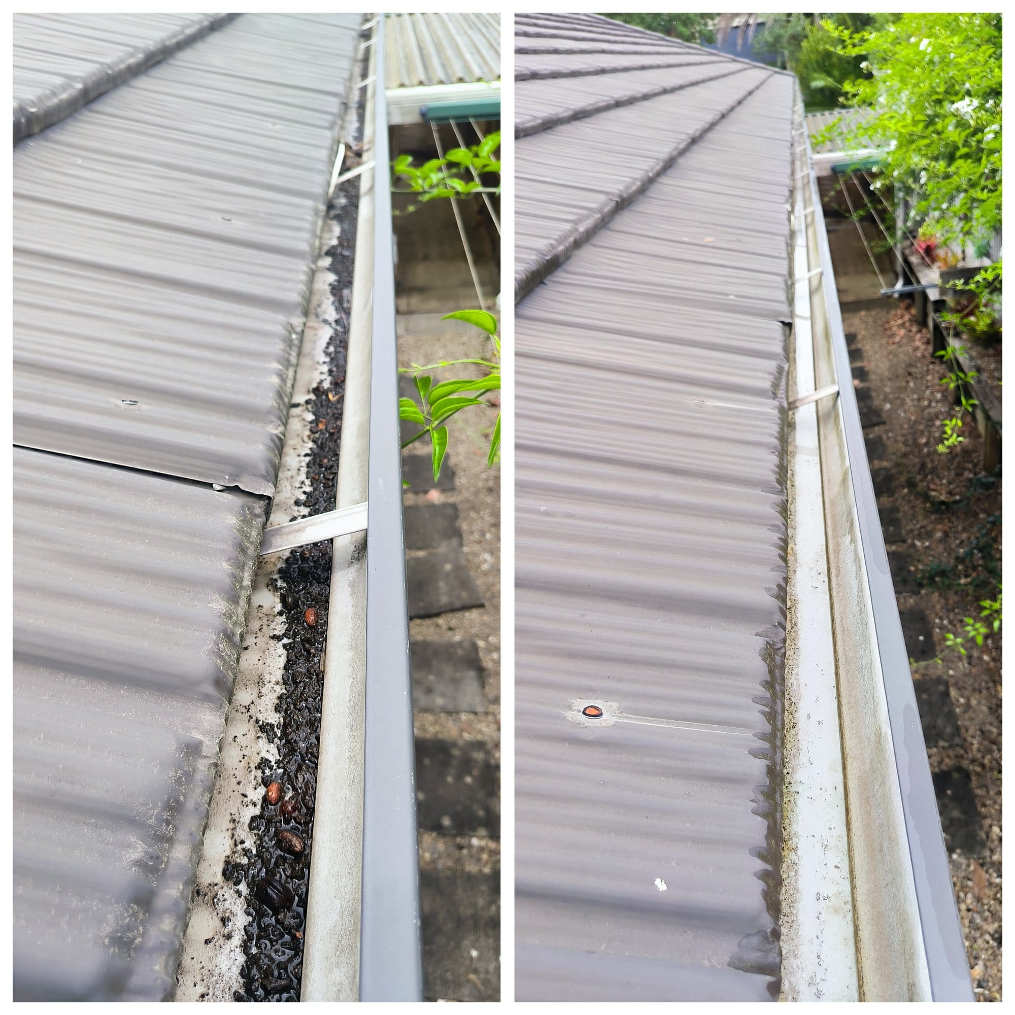 Gutter Cleaning