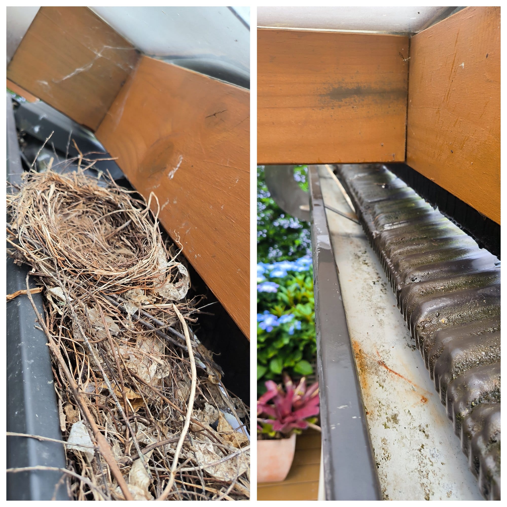Gutter Cleaning