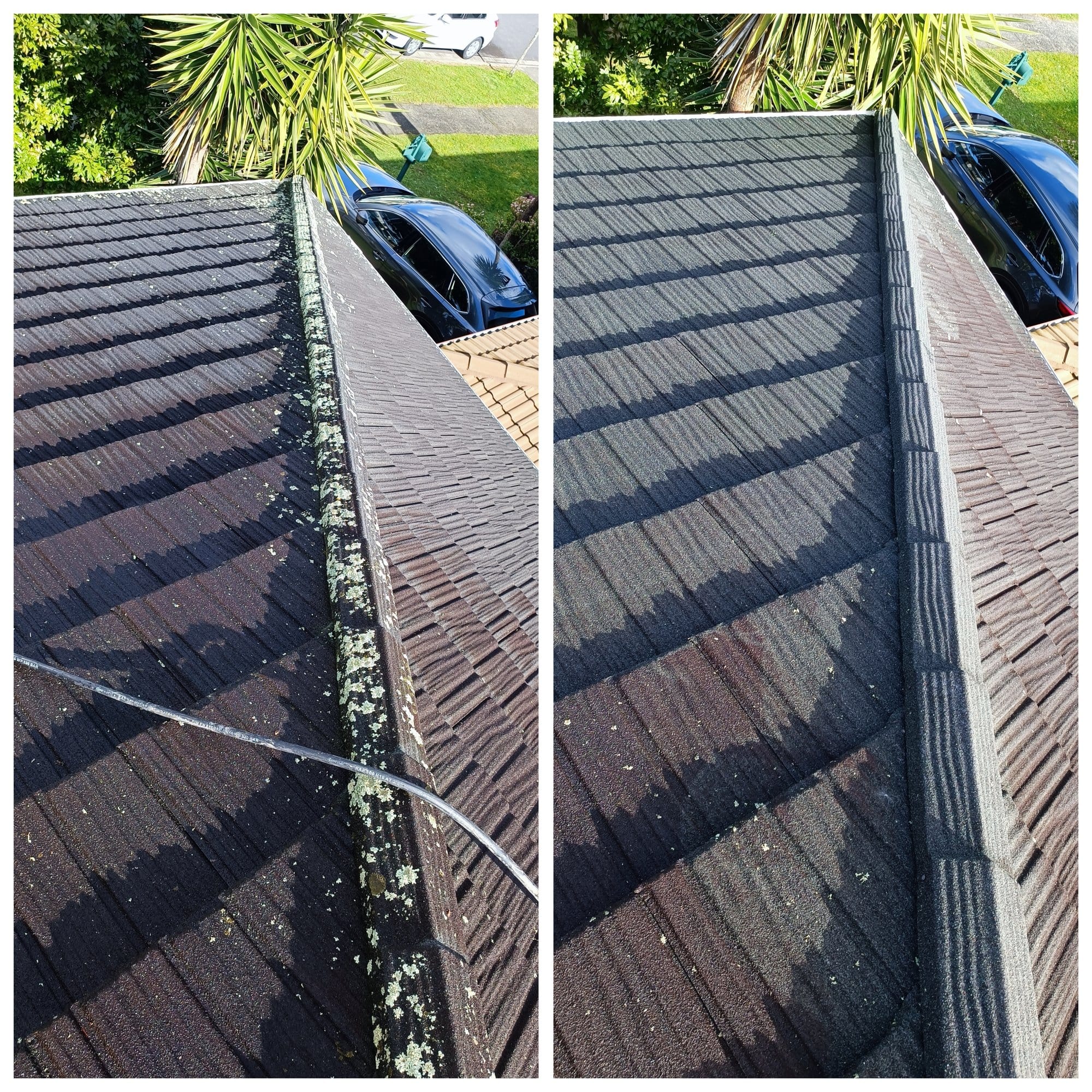Roof Treatment